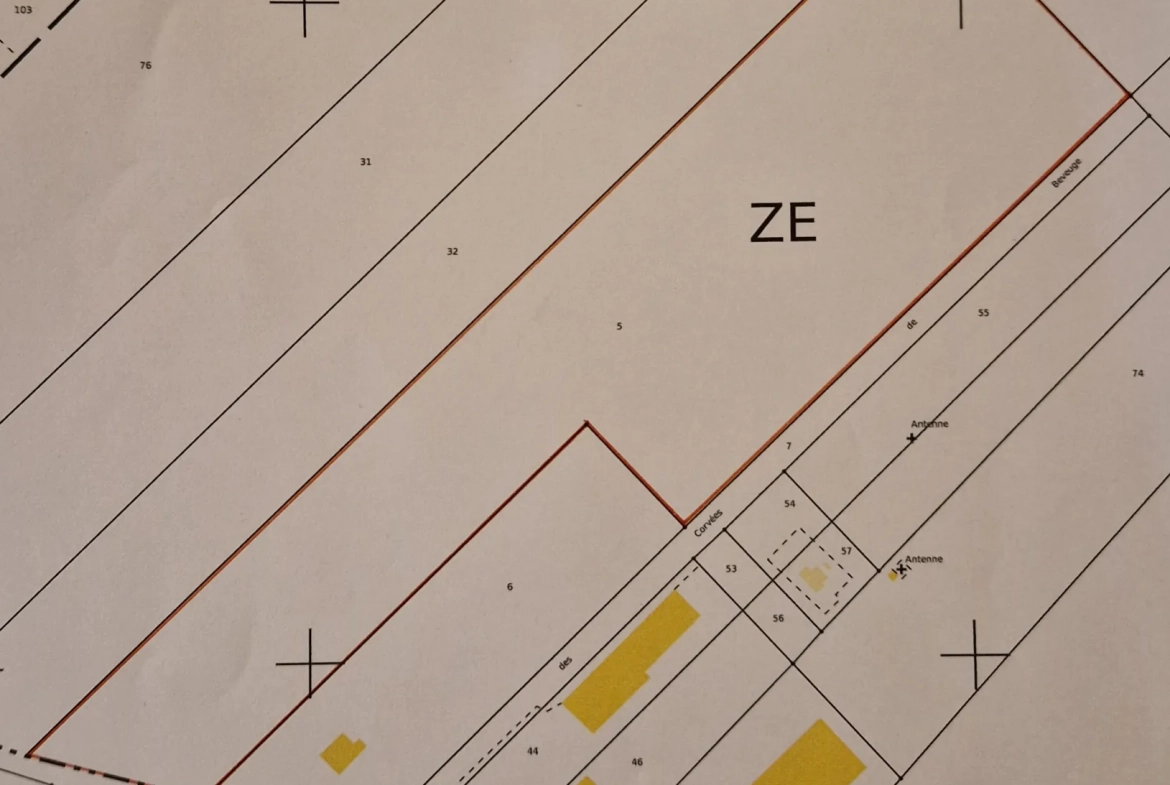 Grand terrain de 25 440 m² à Villersexel – Opportunité pour entreprises 