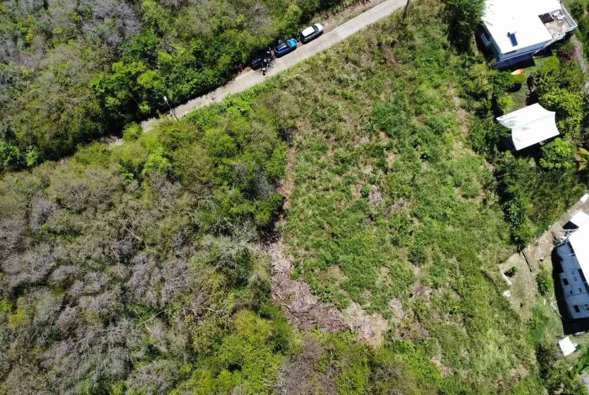 Terrain constructible avec vue mer à Pointe la Rose, Le Robert - 774 m² 