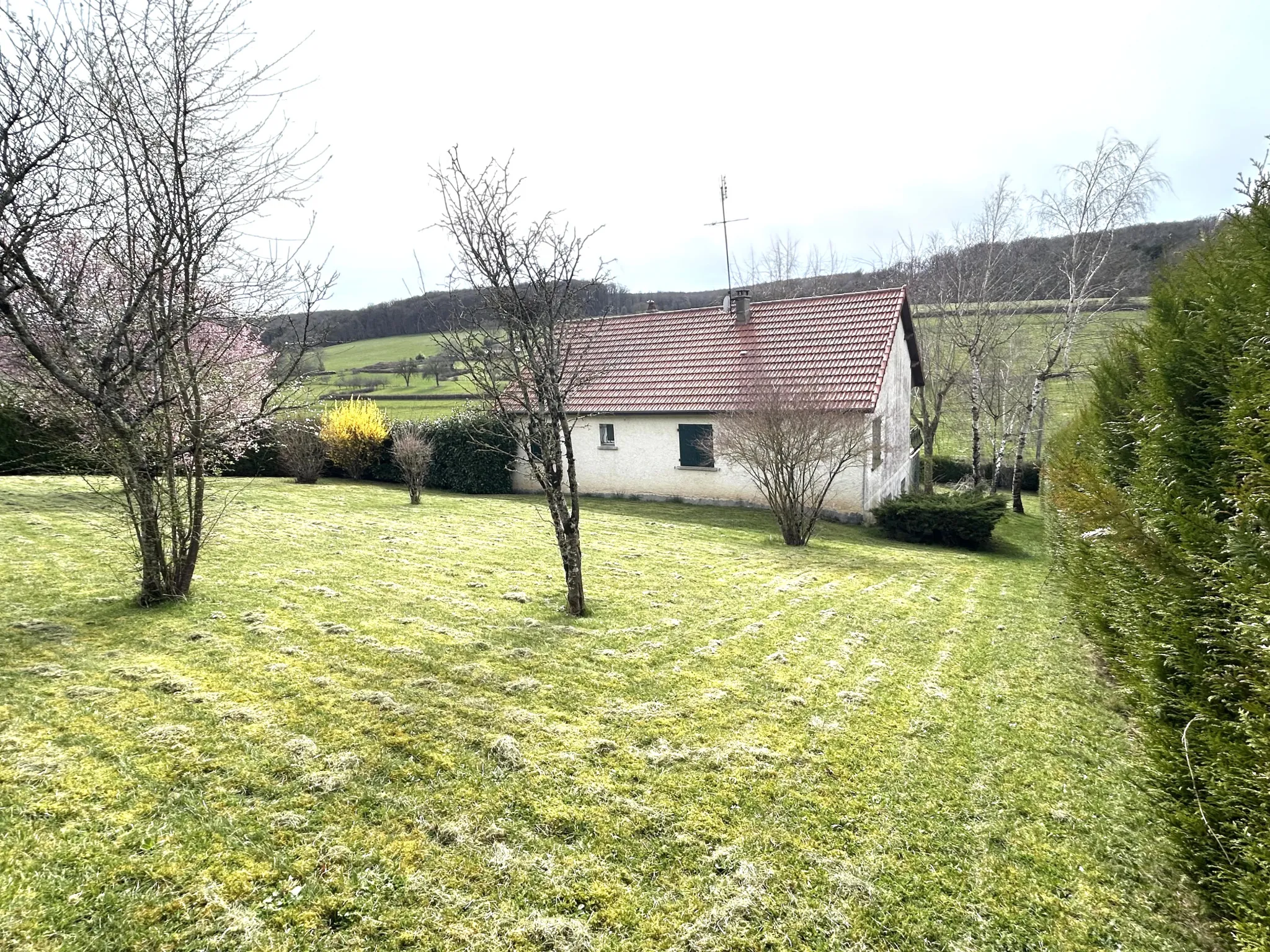 Maison à vendre à Premery avec vue imprenable, grand terrain et aucun travaux à prévoir 