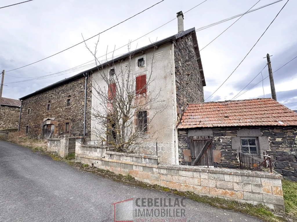 Corps de ferme à rénover à Lastic - 454 m² de terrain, potentiel immobilier