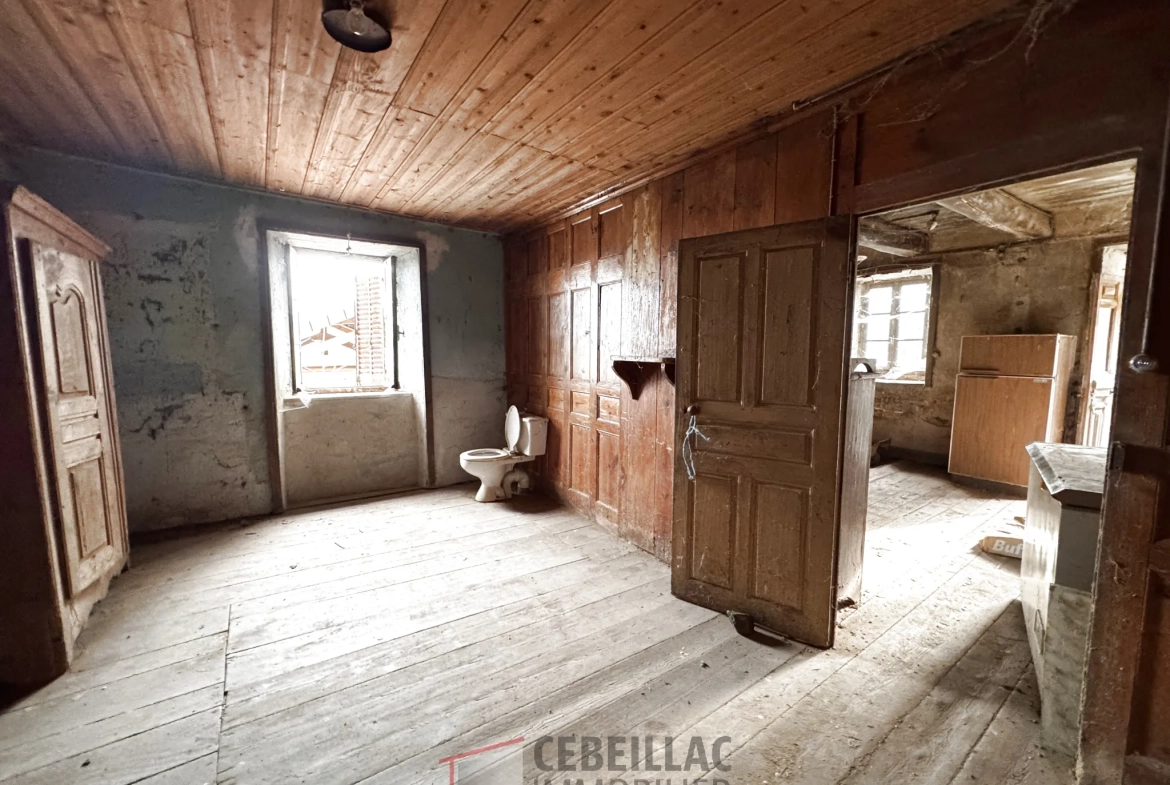 Corps de ferme à rénover à Lastic - 454 m² de terrain, potentiel immobilier 