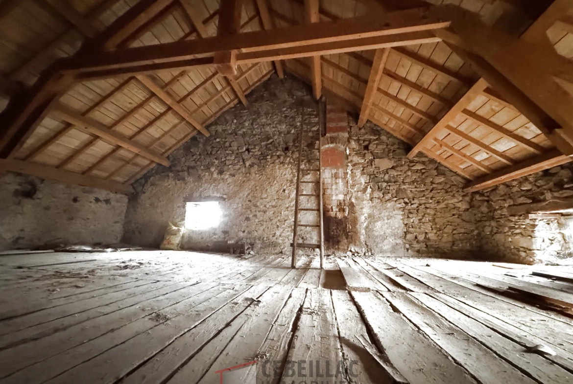 Corps de ferme à rénover à Lastic - 454 m² de terrain, potentiel immobilier 