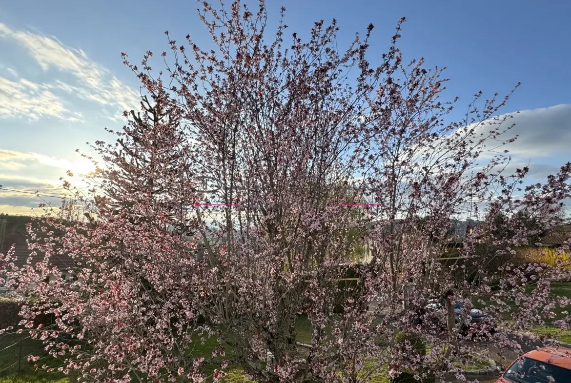 Villa familiale avec terrain de 1414 m² à Cours-la-Ville 