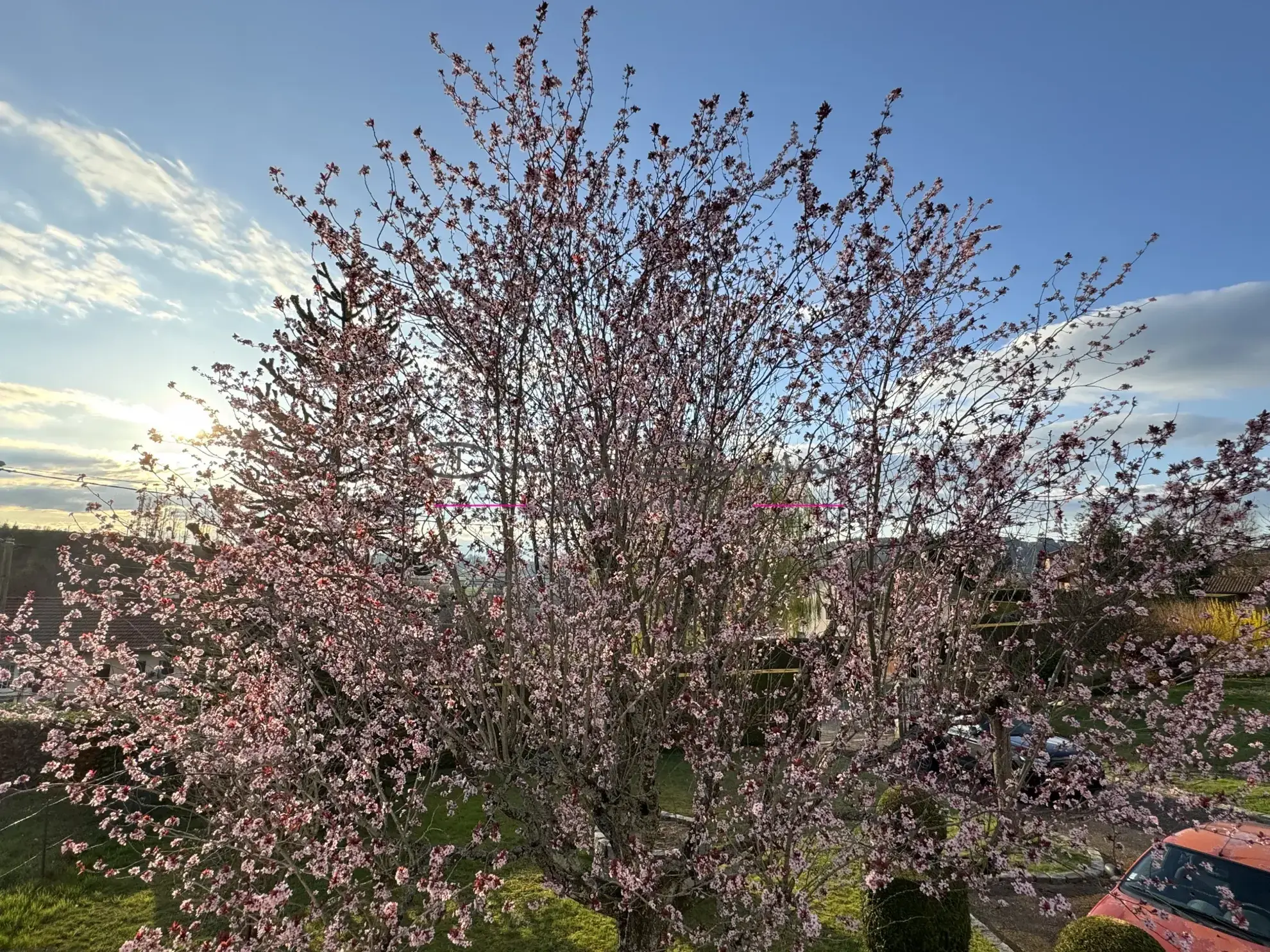 Villa familiale avec terrain de 1414 m² à Cours-la-Ville 