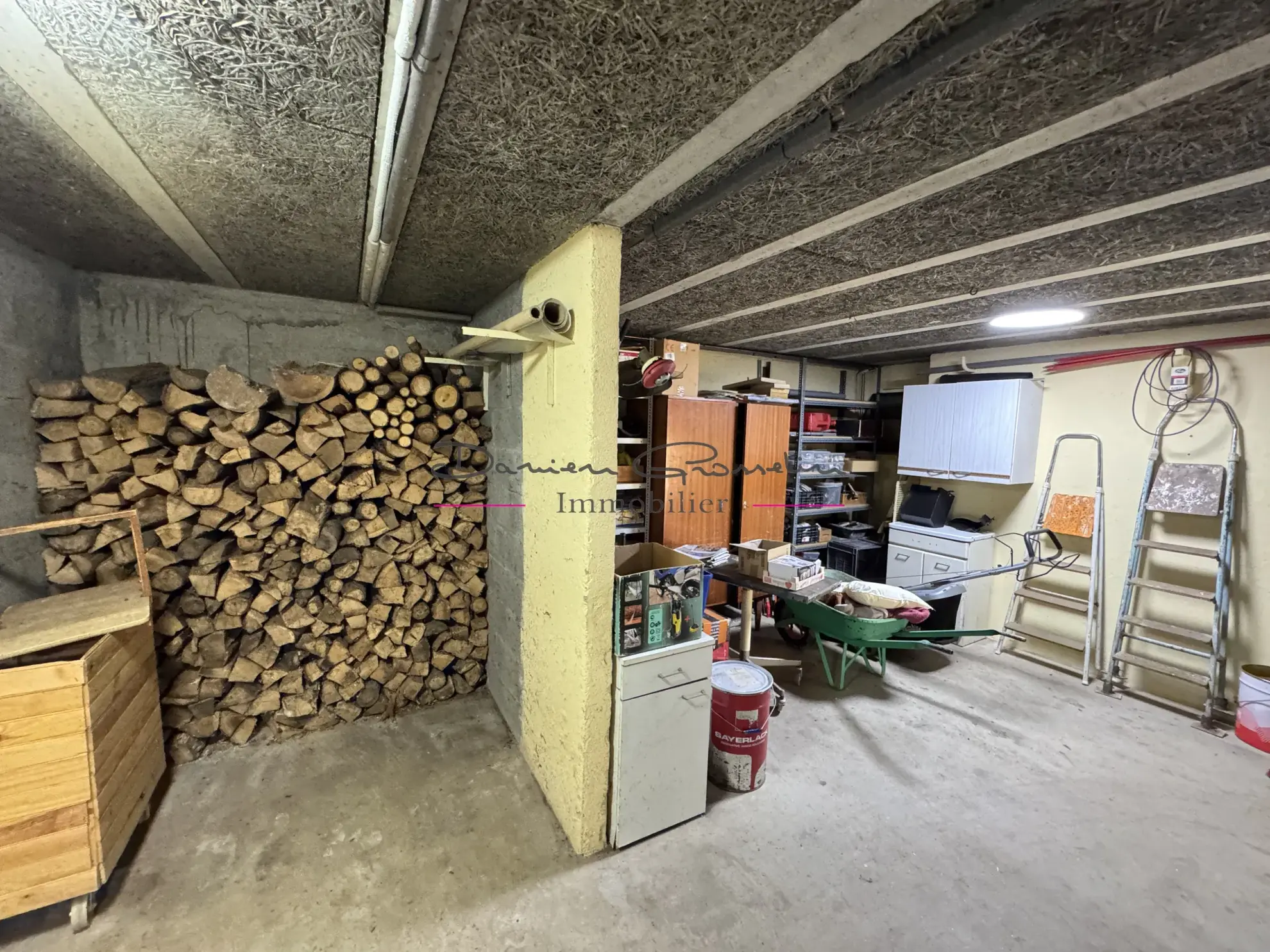 Villa familiale avec terrain de 1414 m² à Cours-la-Ville 