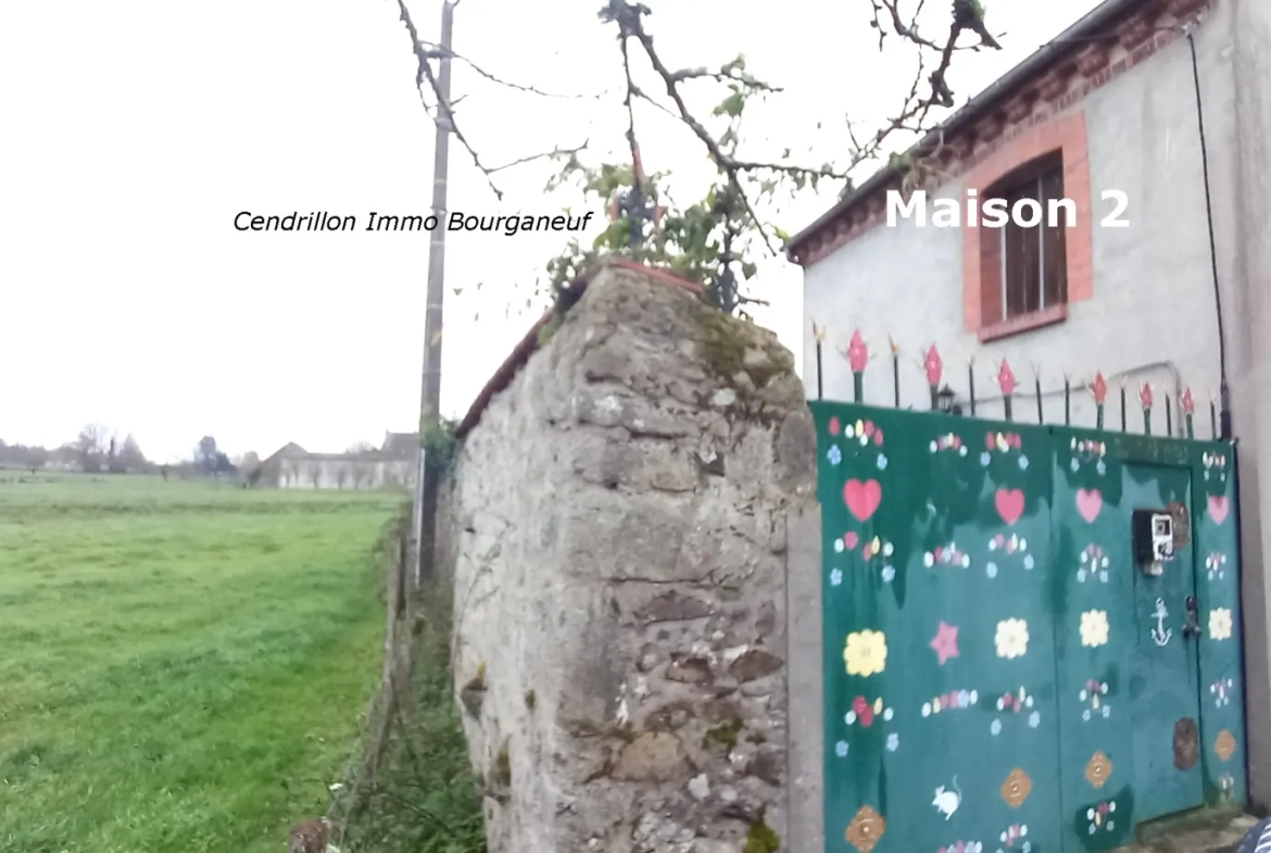 Deux maisons anciennes à rafraîchir avec dépendances sur 1107 m² à Saint Sulpice les Champs 