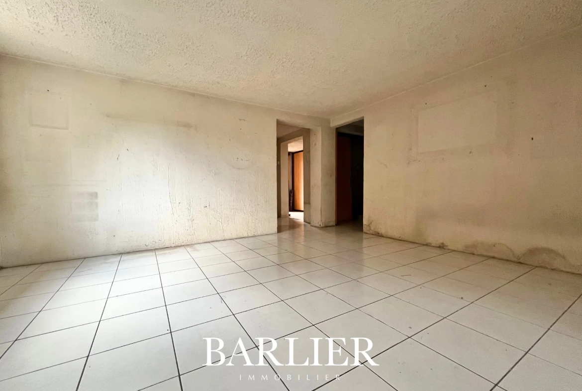 Appartement à vendre à Obenheim - Potentiel de rénovation avec terrasse et parking 
