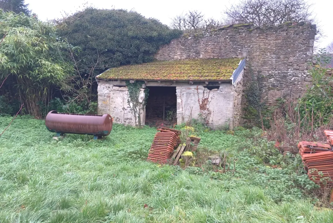 Deux maisons anciennes à rafraîchir avec dépendances sur 1107 m² à Saint Sulpice les Champs 