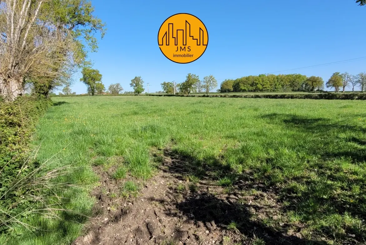 Longère à vendre avec grand potentiel sur 1,1 hectare proche Saint Pourçain et Bransat 