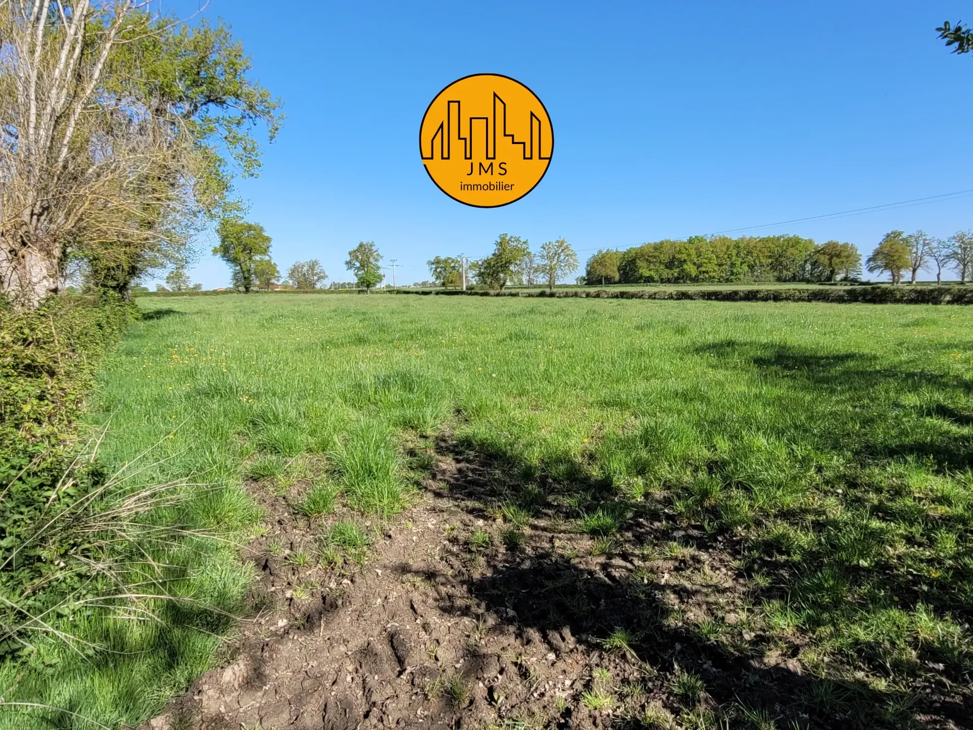 Longère à vendre avec grand potentiel sur 1,1 hectare proche Saint Pourçain et Bransat 