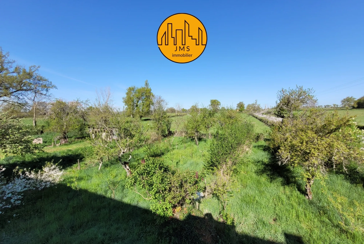 Longère à vendre avec grand potentiel sur 1,1 hectare proche Saint Pourçain et Bransat 