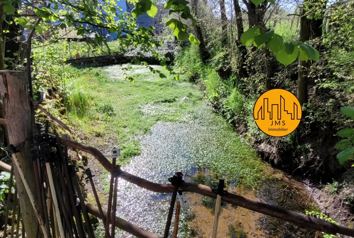 Longère à vendre avec grand potentiel sur 1,1 hectare proche Saint Pourçain et Bransat 
