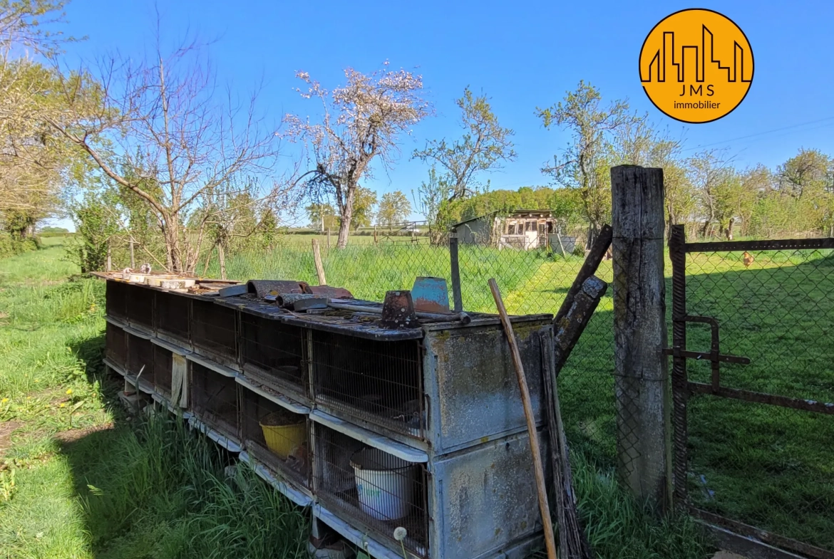 Longère à vendre avec grand potentiel sur 1,1 hectare proche Saint Pourçain et Bransat 