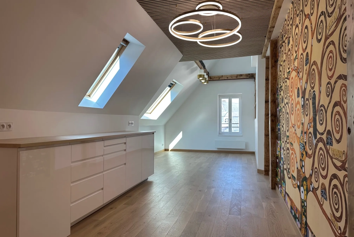 Appartement duplex moderne de 3 pièces à Strasbourg, dernier étage, proche tram et place de la République 