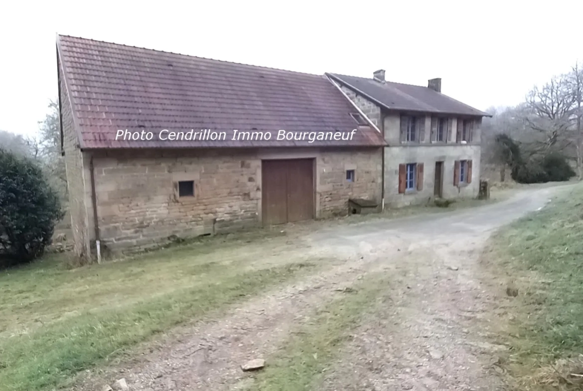 Fermette indépendante avec grand potentiel à Saint-Pierre-Bellevue - Propriété rurale rénovée 