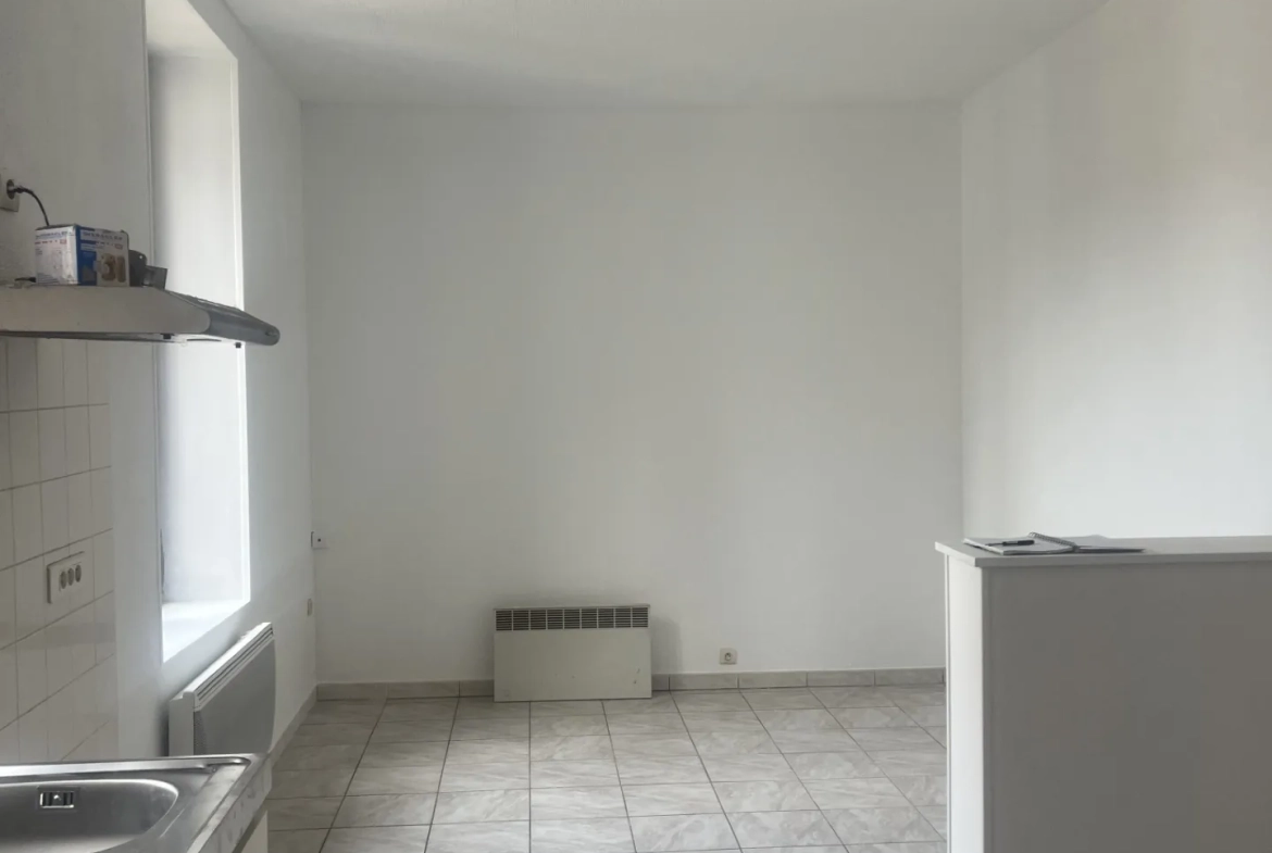 Deux appartements à Brienon-sur-Armançon avec garages, idéal investissement ou résidence multi-génération 