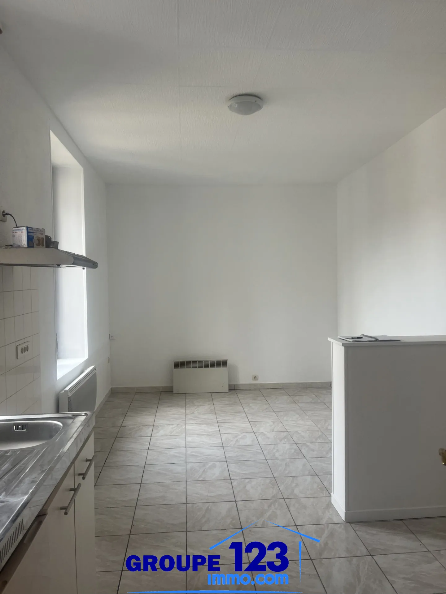 Deux appartements à Brienon-sur-Armançon avec garages, idéal investissement ou résidence multi-génération 