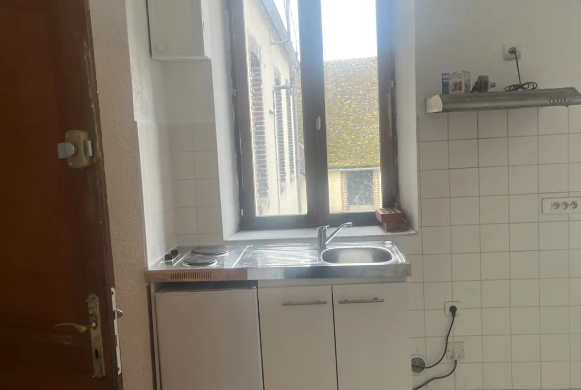 Deux appartements à Brienon-sur-Armançon avec garages, idéal investissement ou résidence multi-génération 
