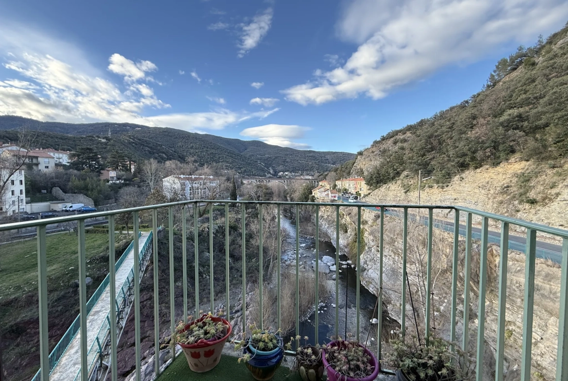 Appartement 1 chambre avec vue imprenable à Amélie-les-Bains-Palalda 