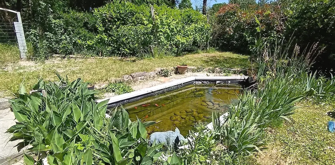 Maison en pierre de 136 m² avec jardin et dépendance à Leogeats 