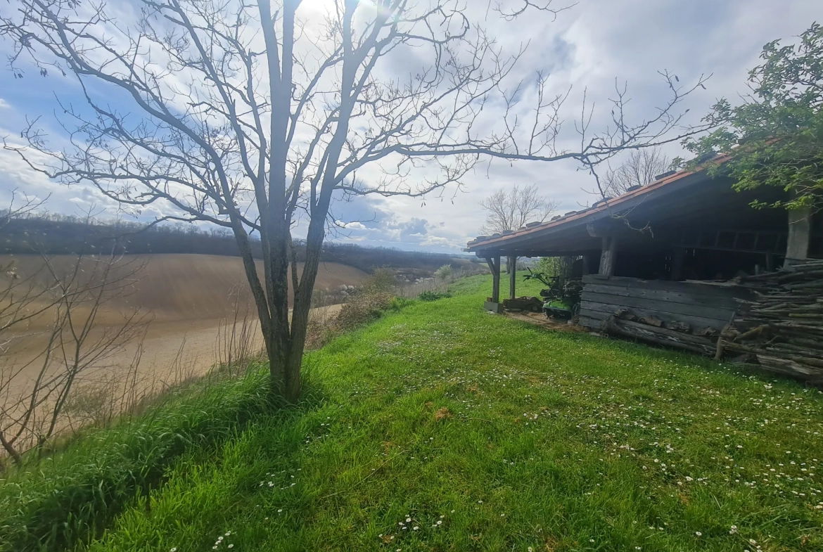 Belle ferme ancienne avec vue Pyrénées, terrain de 6660 m², garage et dépendances près de Toulouse 