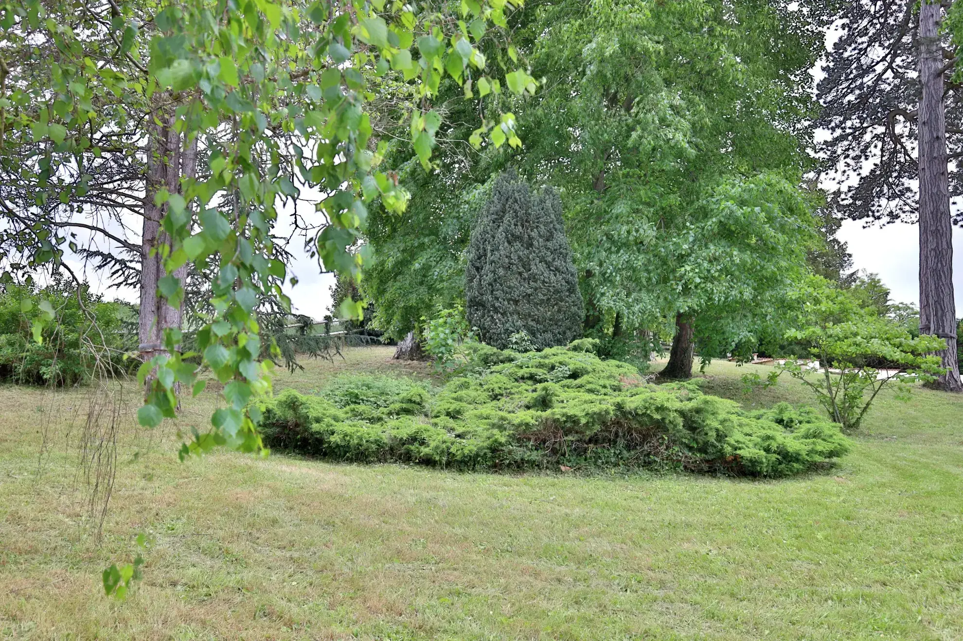 Terrain constructible à vendre à Pont Évêque - 1200 m² arboré 