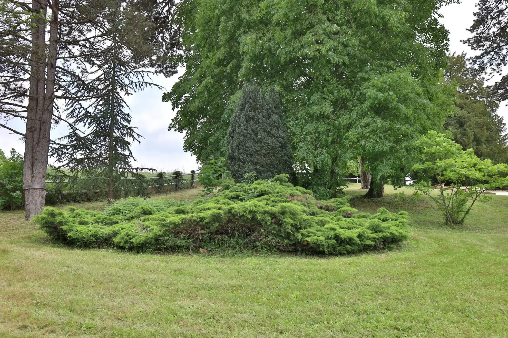 Terrain constructible à vendre à Pont Évêque - 1200 m² arboré 