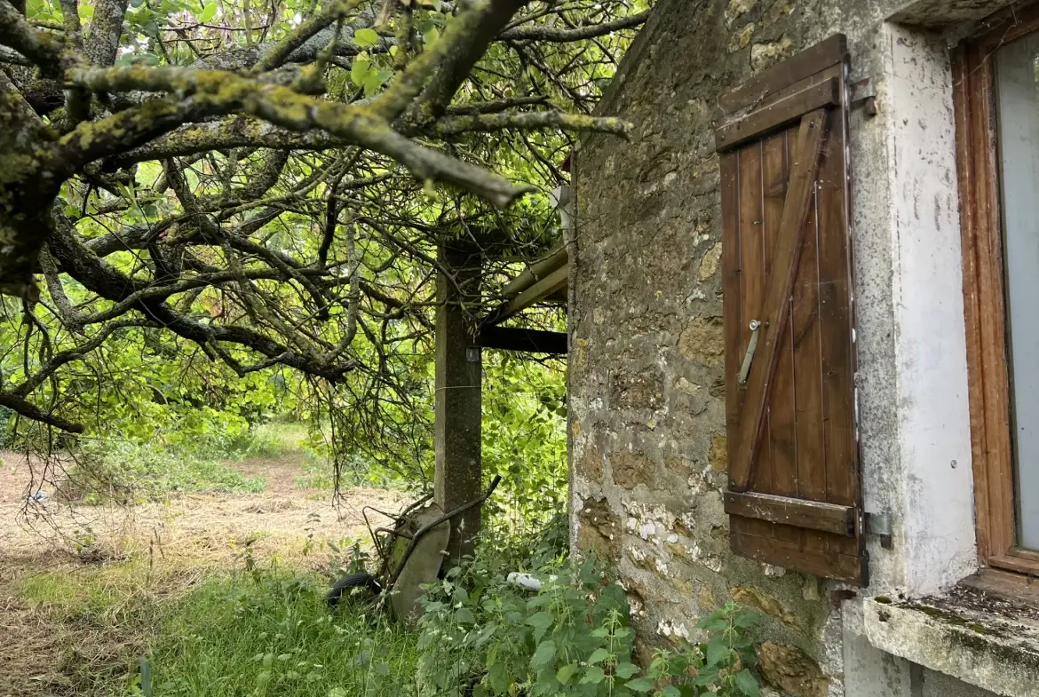 Maison ancienne en pierre à rénover avec grand terrain à Saint-Jean-d'Hermine 