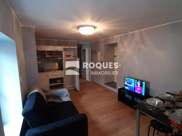 À vendre à Millau : lot de deux appartements rénovés en centre-ville