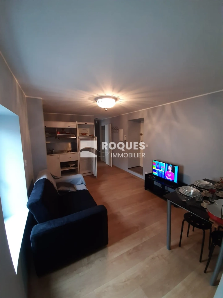 À vendre à Millau : lot de deux appartements rénovés en centre-ville