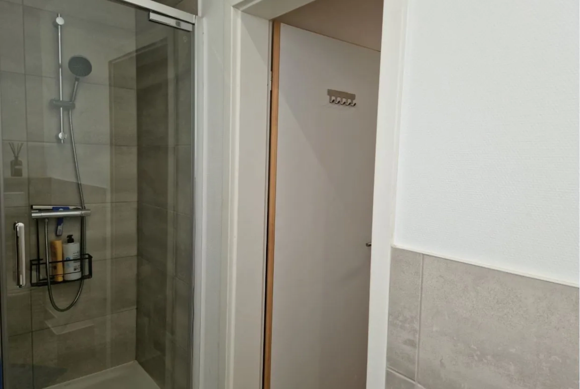 Appartement 3 pièces rénové avec cave au cœur de Strasbourg 