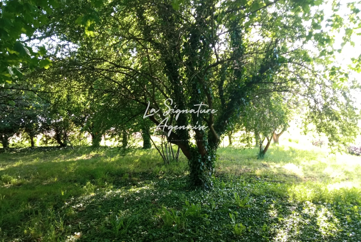 Maison à rénover sur un terrain de 2415 m² à Couthure-sur-Garonne 