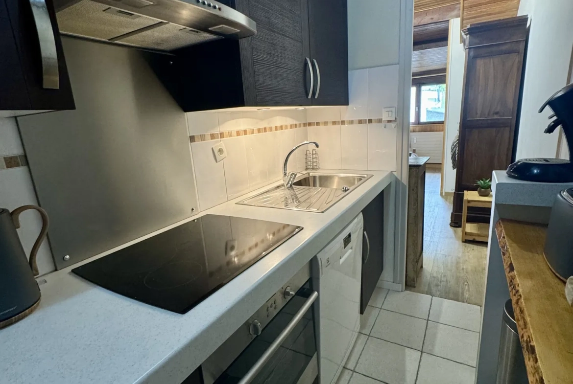 Charmant appartement duplex de 50,38 m² avec vue sur pistes à Les Deux Alpes 