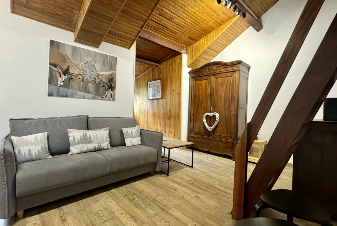 Charmant appartement duplex de 50,38 m² avec vue sur pistes à Les Deux Alpes 