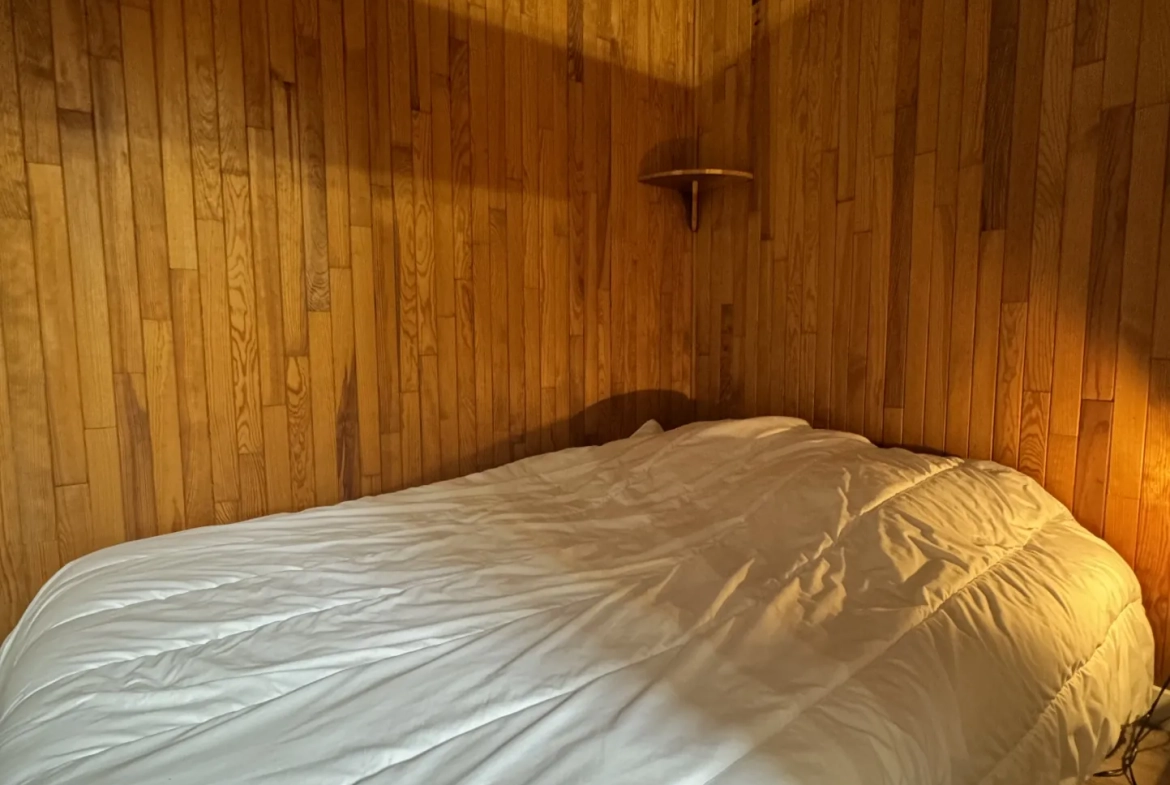 Charmant appartement duplex de 50,38 m² avec vue sur pistes à Les Deux Alpes 