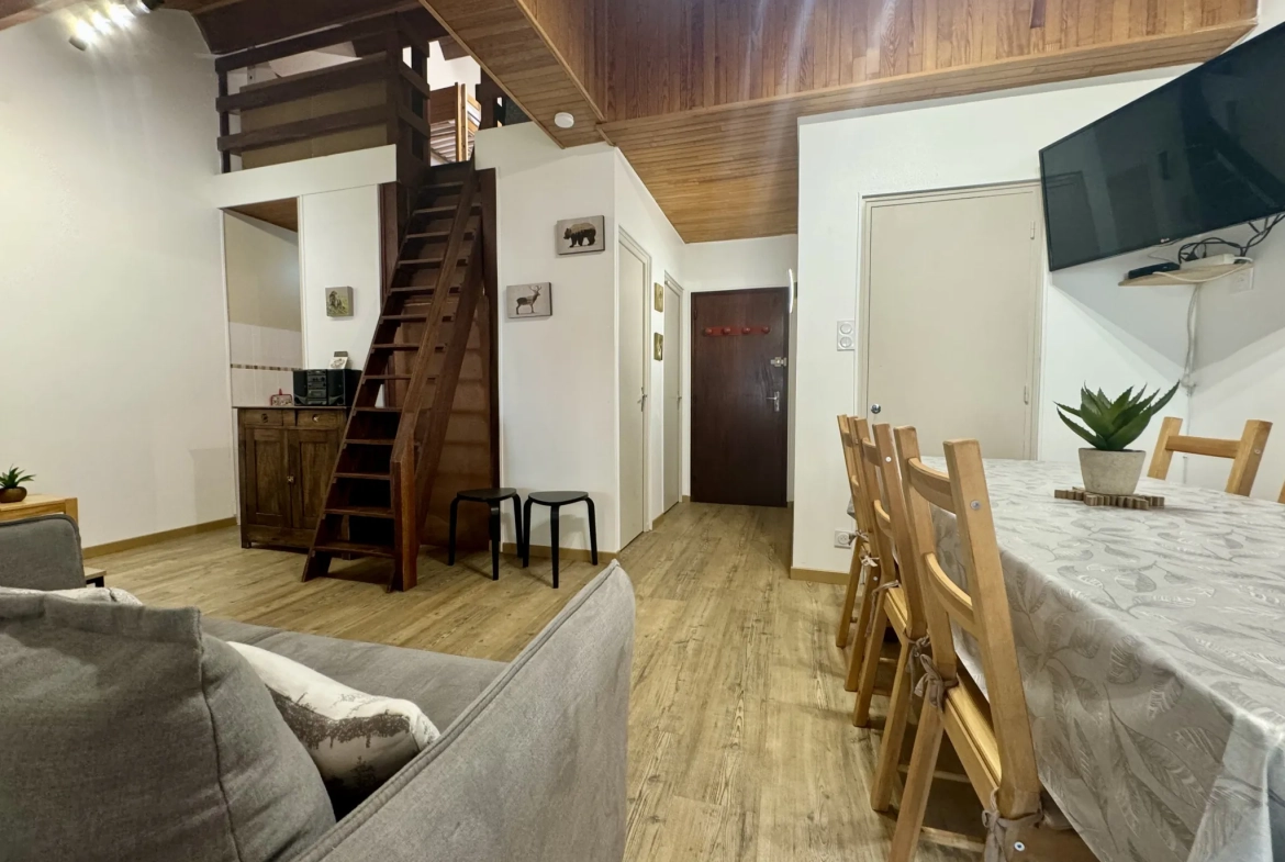 Charmant appartement duplex de 50,38 m² avec vue sur pistes à Les Deux Alpes 