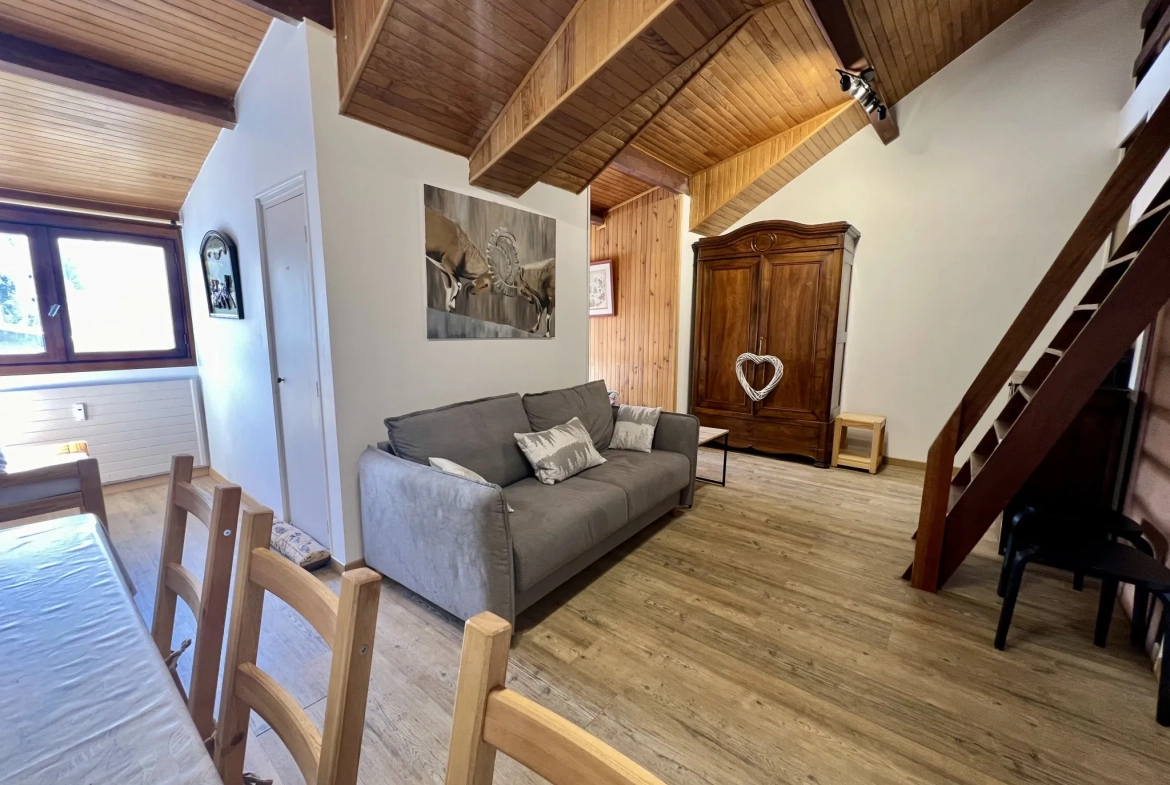 Charmant appartement duplex de 50,38 m² avec vue sur pistes à Les Deux Alpes 