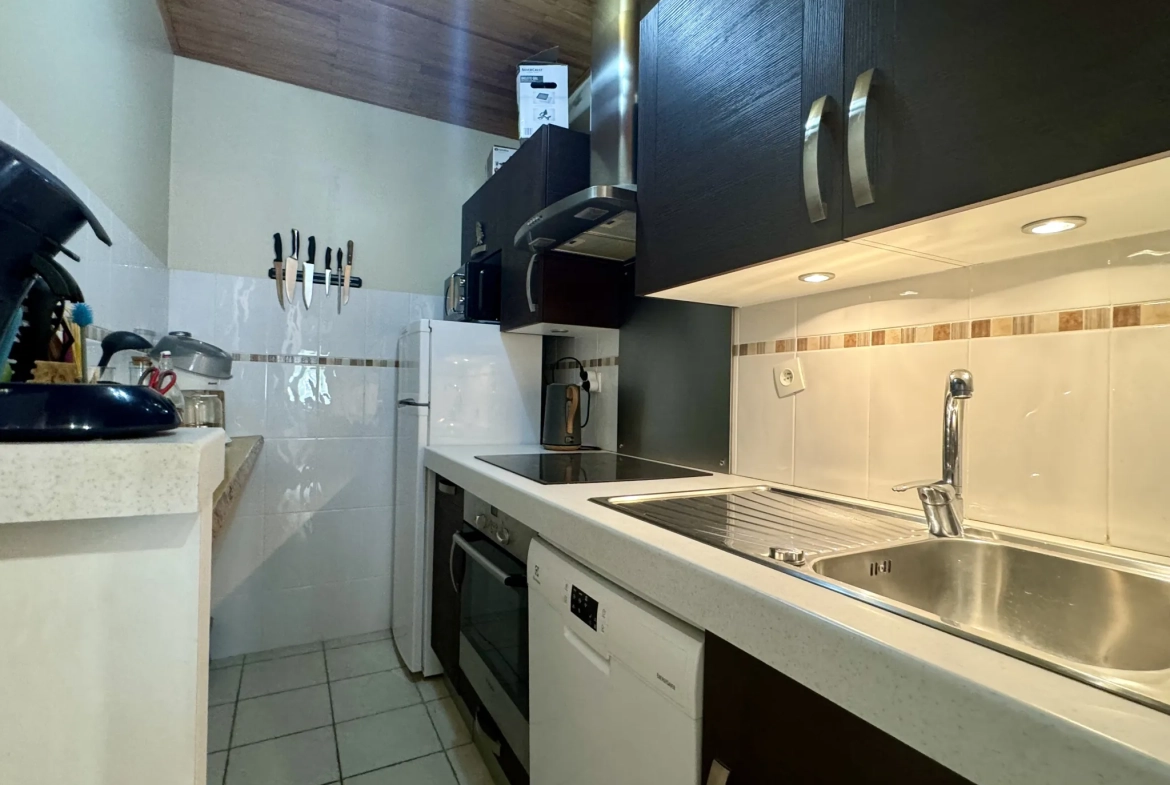 Charmant appartement duplex de 50,38 m² avec vue sur pistes à Les Deux Alpes 