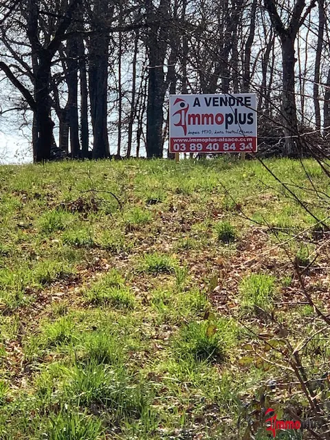 Terrain constructible à Wuenheim de 1503 m², vue nature et emplacement calme 