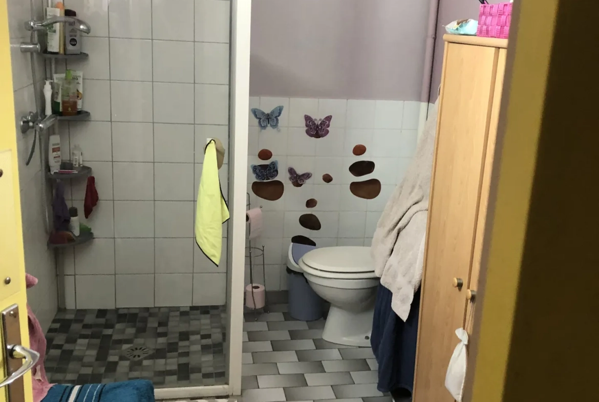 Immeuble avec local commercial et appartement à Salbris, Sologne 