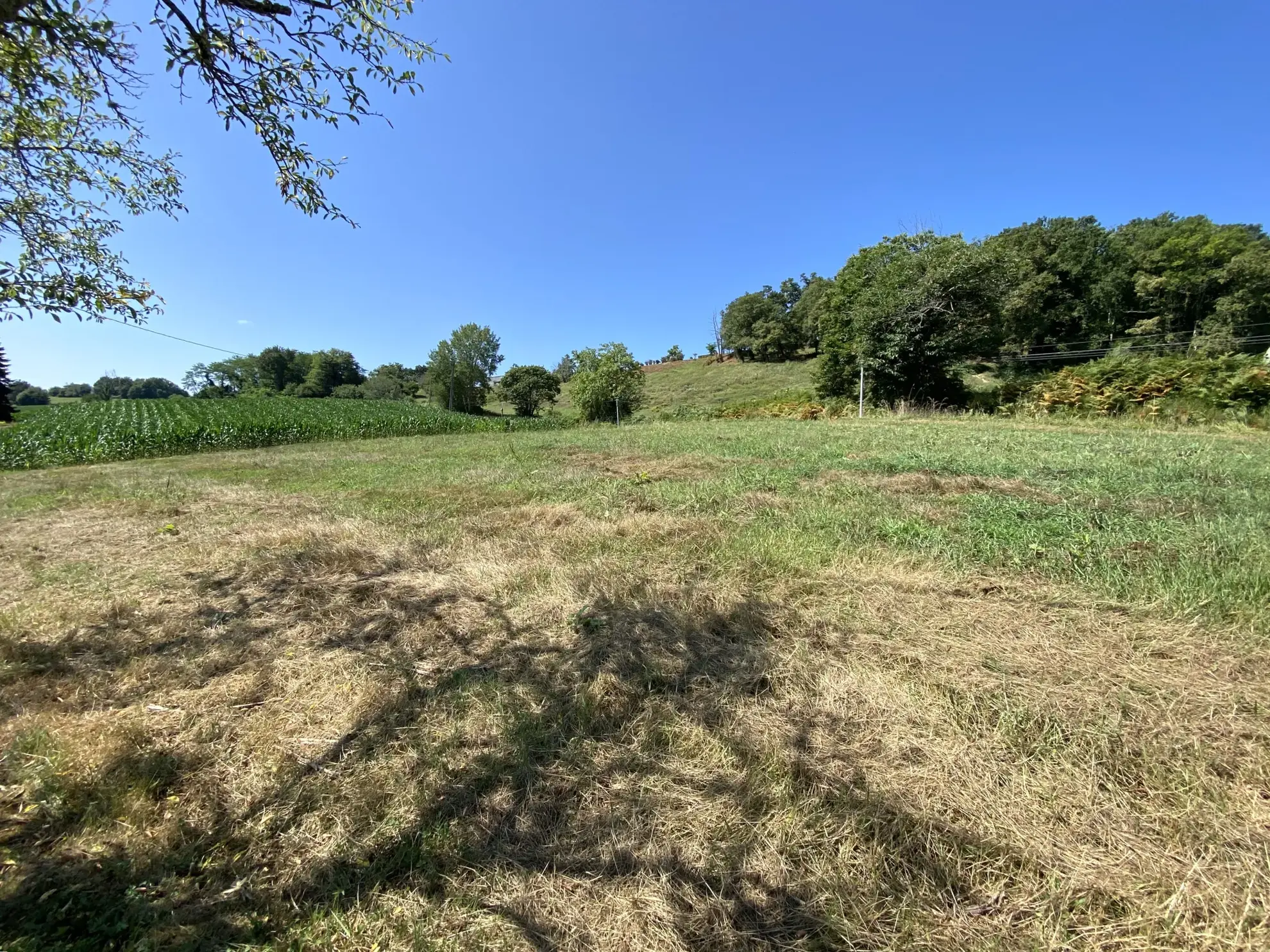 Terrain constructible à Monein - Quartier Coos - 1850 m² 