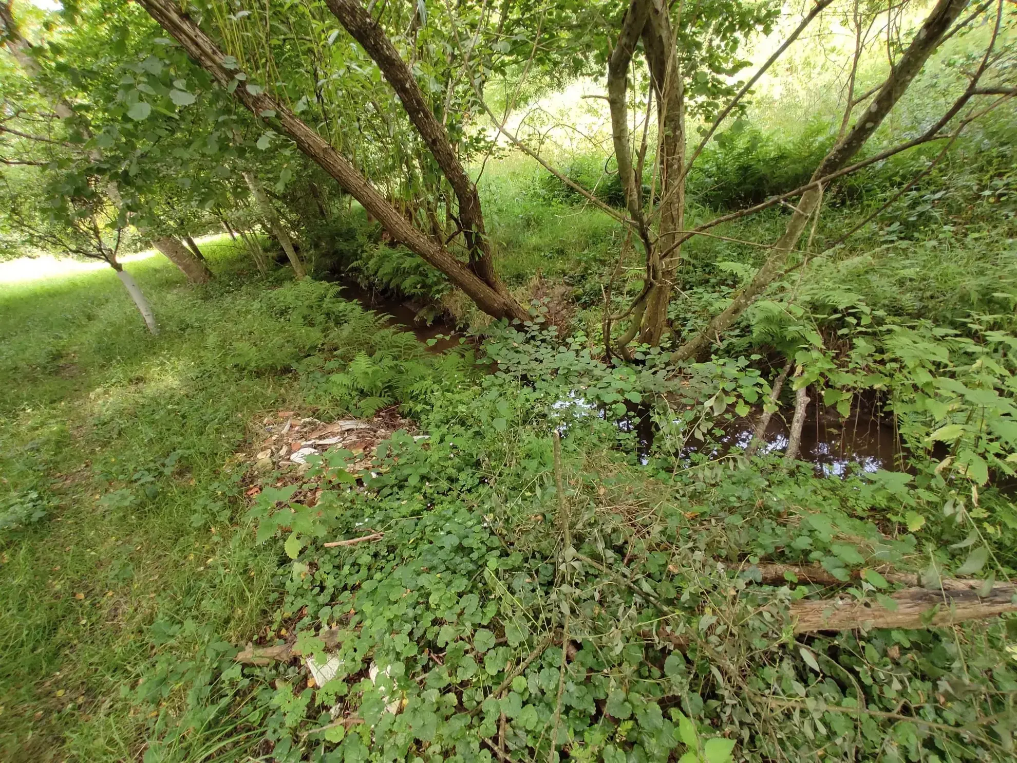 Maison de 95 m² avec grand terrain et grange à Saint-Denis-sur-Sarthon 