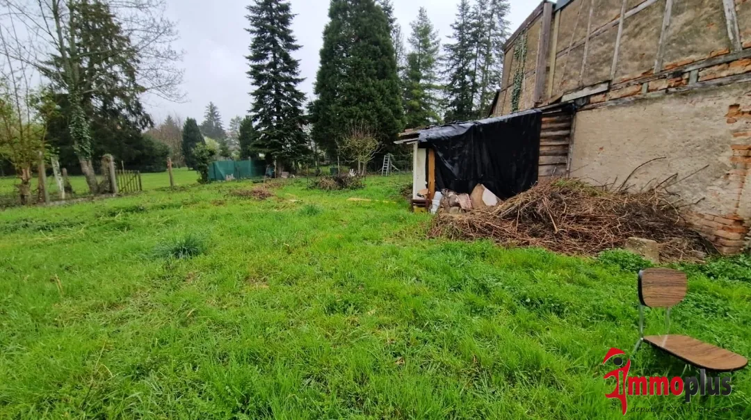Maison mitoyenne à Hégenheim avec grand jardin et potentiel idéal investissement 