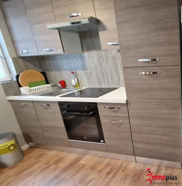 Maison mitoyenne à Hégenheim avec grand jardin et potentiel idéal investissement 