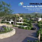 A vendre terrain constructible de 947 m2 à Casaglione, proche plage