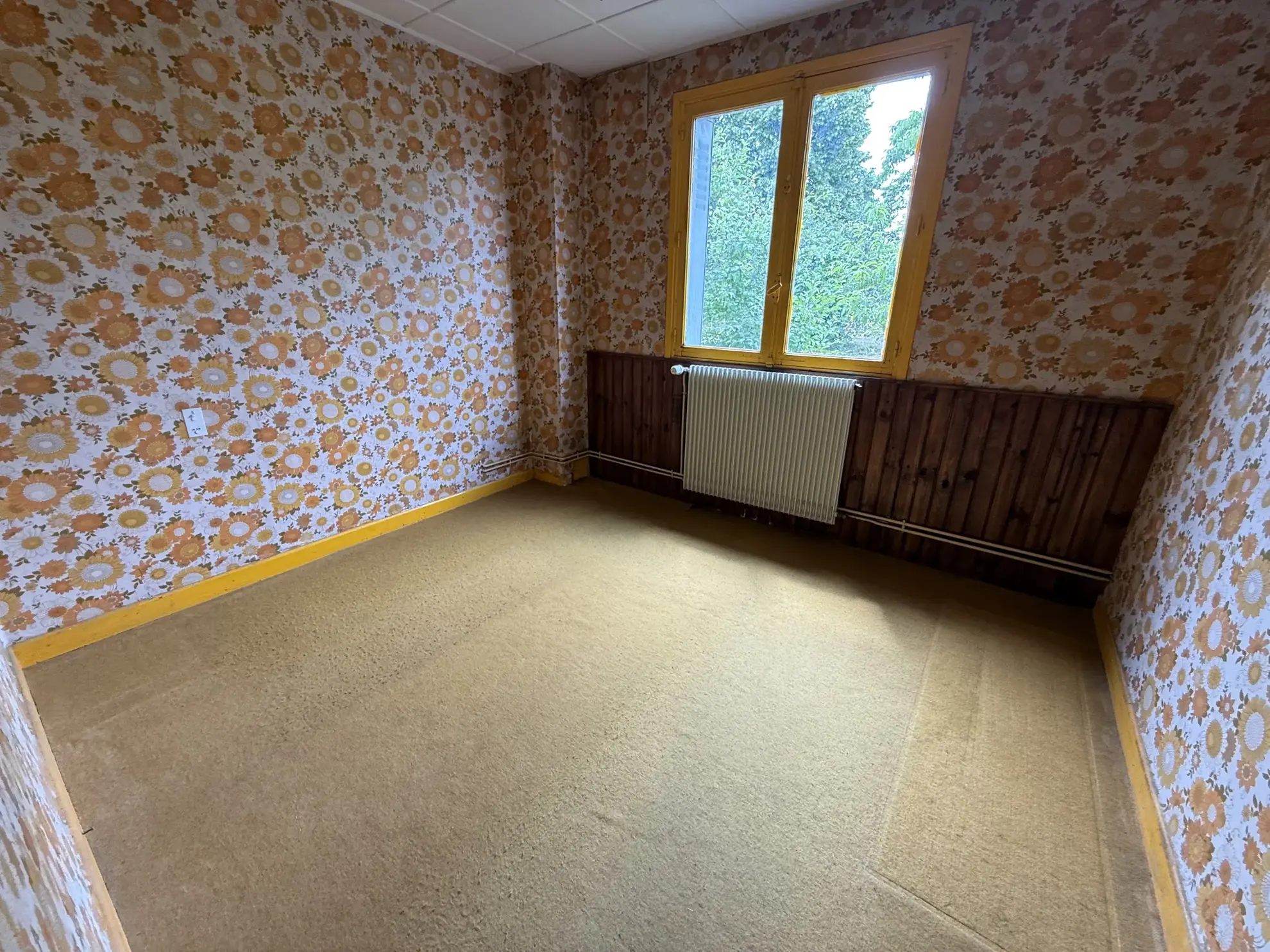 Ferme à rénover avec terrain piscinable à Saint-Rémy-en-Rollat 