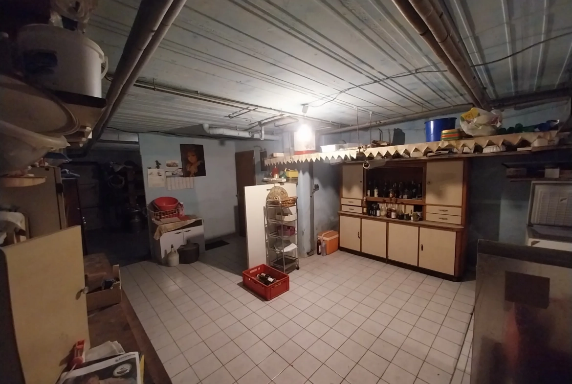 Belle maison de 135 m² avec garage, hangar et jardin à Bambiderstroff (57) 