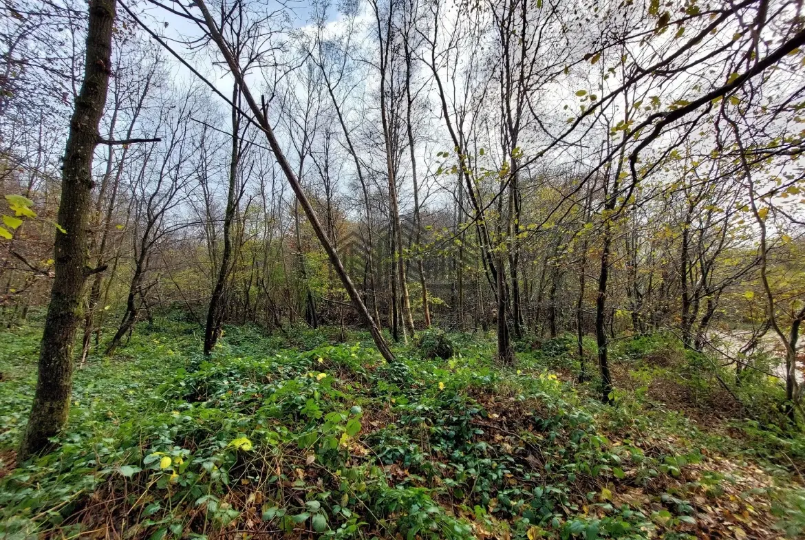 Parcelle forestière à Venon de 7 281 m² pour loisirs ou conservation 