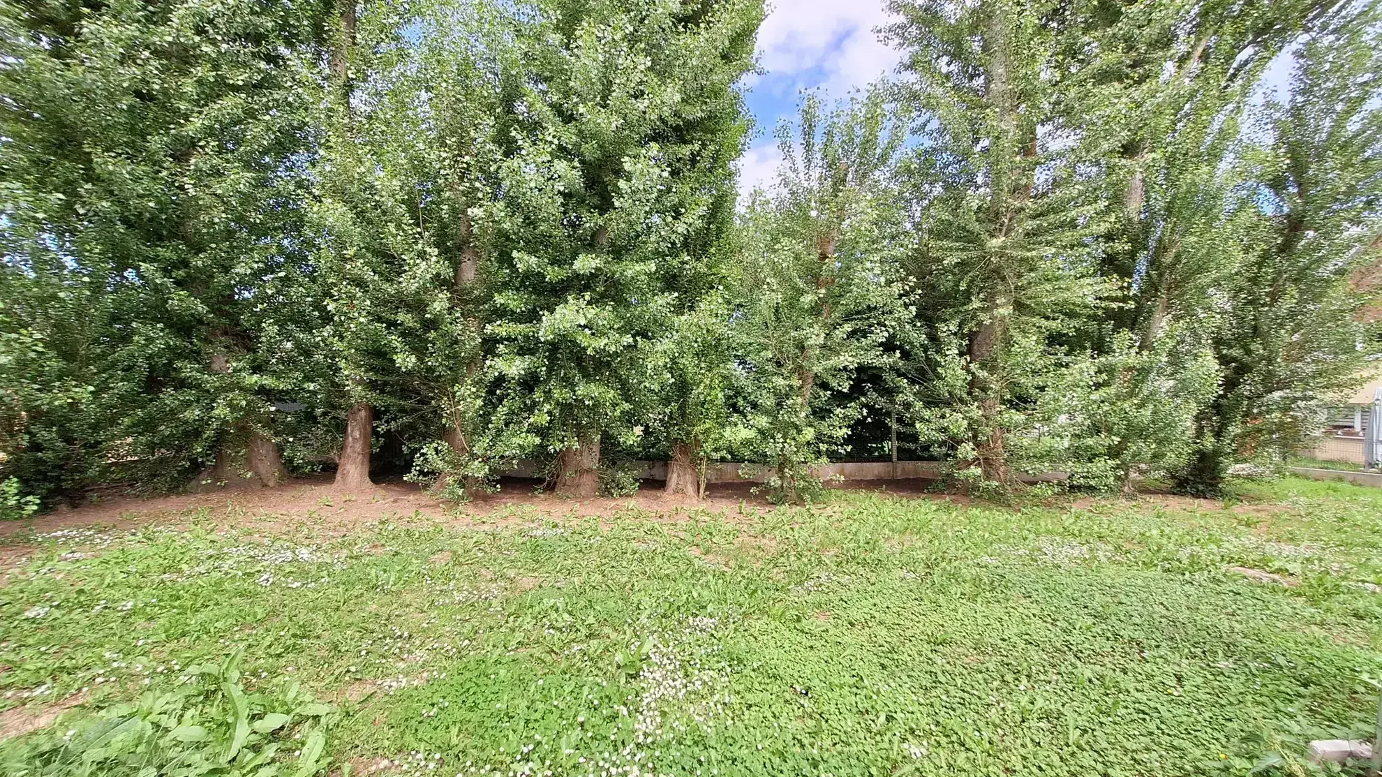 Terrain à bâtir de 653 m² à Zaessingue, idéal pour votre projet immobilier 