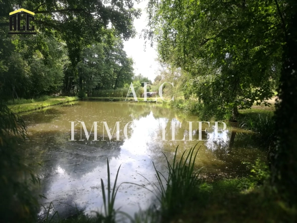 Terrain de loisir avec plan d'eau de 3718 m² à Villeneuve-en-Perseigne